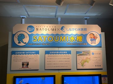 しながわ水族館に投稿された画像（2023/1/28）