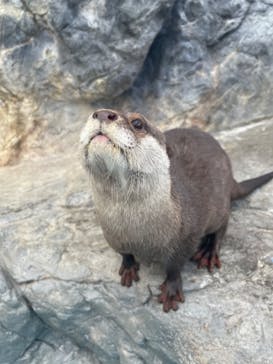 大分マリーンパレス水族館 「うみたまご」に投稿された画像（2023/1/28）