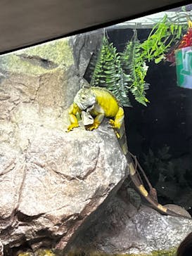 サンシャイン水族館に投稿された画像（2023/1/28）