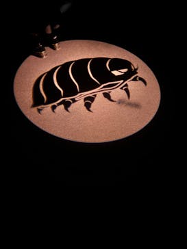 サンシャイン水族館に投稿された画像（2023/1/28）