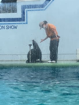 しながわ水族館に投稿された画像（2023/1/28）