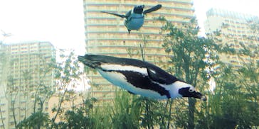 サンシャイン水族館に投稿された画像（2023/1/28）