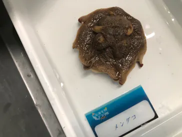 横浜・八景島シーパラダイスに投稿された画像（2023/1/28）