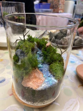 カルチャースクールいろはに投稿された画像（2023/1/28）