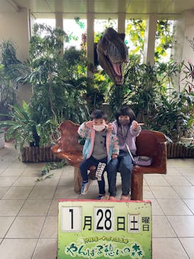御菓子御殿　名護店　やんばる亜熱帯の森DINO恐竜PARKに投稿された画像（2023/1/28）