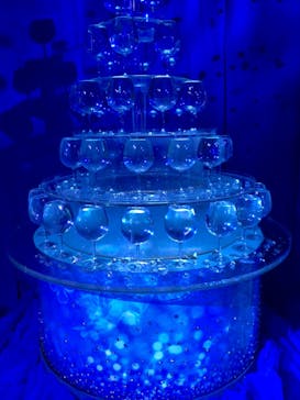 新江ノ島水族館に投稿された画像（2023/1/28）