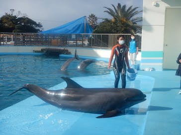 南知多ビーチランド＆南知多おもちゃ王国に投稿された画像（2023/1/28）