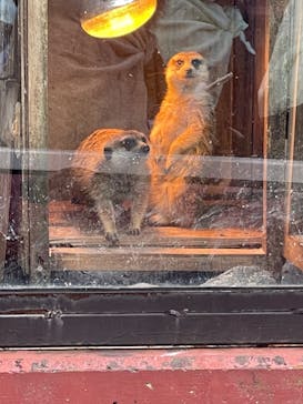 伊豆シャボテン動物公園に投稿された画像（2023/1/28）