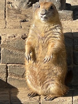 伊豆シャボテン動物公園に投稿された画像（2023/1/28）