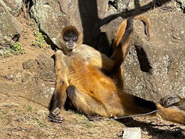 伊豆シャボテン動物公園に投稿された画像（2023/1/28）