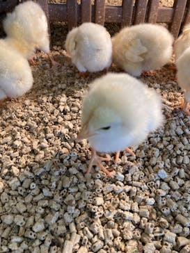 Moff アニマル カフェ イーアス 高尾店に投稿された画像（2023/1/28）