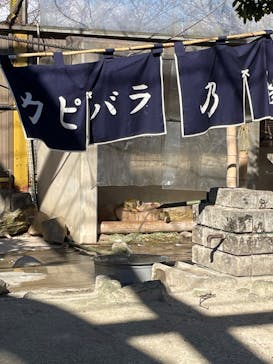 東武動物公園に投稿された画像（2023/1/28）