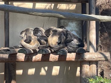 東武動物公園に投稿された画像（2023/1/28）