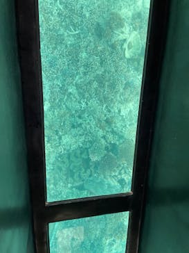 川平マリンサービスに投稿された画像（2023/1/28）