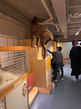 国立科学博物館に投稿された画像（2023/1/28）