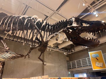 国立科学博物館に投稿された画像（2023/1/28）