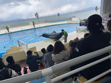 マリンワールド海の中道に投稿された画像（2023/1/28）