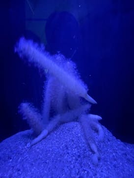 マリンワールド海の中道に投稿された画像（2023/1/28）