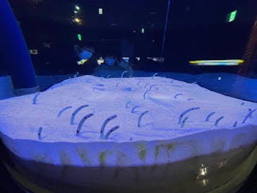 マリンワールド海の中道に投稿された画像（2023/1/28）