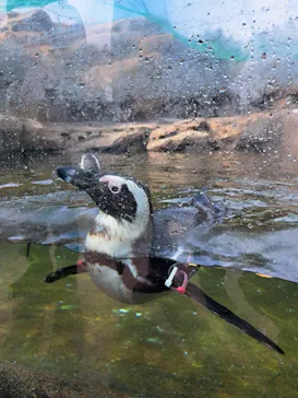 神戸どうぶつ王国に投稿された画像（2023/1/28）