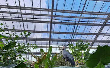 神戸どうぶつ王国に投稿された画像（2023/1/28）