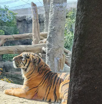 神戸どうぶつ王国に投稿された画像（2023/1/28）