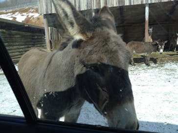 東北サファリパークに投稿された画像（2023/1/28）