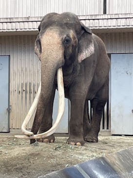 横浜市立金沢動物園に投稿された画像（2023/1/28）