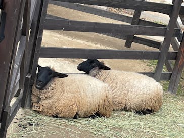 横浜市立金沢動物園に投稿された画像（2023/1/28）