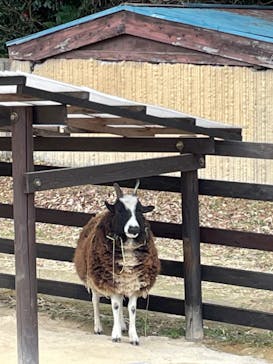 横浜市立金沢動物園に投稿された画像（2023/1/28）