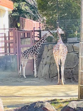 横浜市立金沢動物園に投稿された画像（2023/1/28）