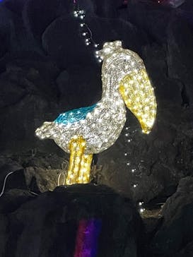 伊豆ぐらんぱる公園に投稿された画像（2023/1/28）