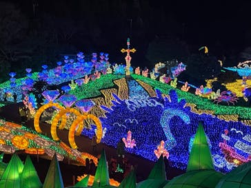 伊豆ぐらんぱる公園に投稿された画像（2023/1/28）