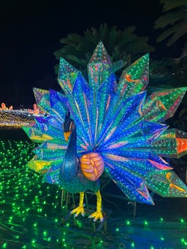 伊豆ぐらんぱる公園に投稿された画像（2023/1/28）