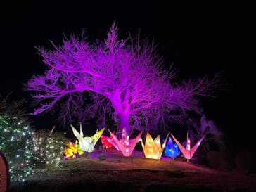 伊豆ぐらんぱる公園に投稿された画像（2023/1/28）