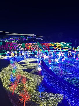 伊豆ぐらんぱる公園に投稿された画像（2023/1/28）