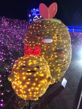 さがみ湖MORI MORIに投稿された画像（2023/1/28）