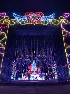 さがみ湖MORI MORIに投稿された画像（2023/1/28）