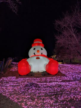 さがみ湖MORI MORIに投稿された画像（2023/1/28）