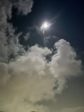 今帰仁城跡に投稿された画像（2023/1/28）