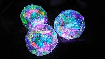 大阪府立花の文化園に投稿された画像（2023/1/28）