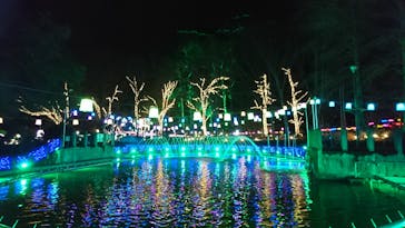 大阪府立花の文化園に投稿された画像（2023/1/28）