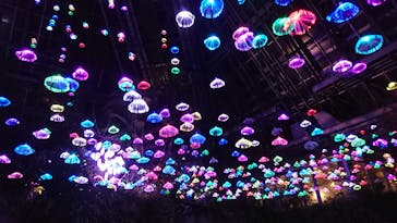 大阪府立花の文化園に投稿された画像（2023/1/28）