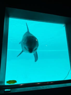 南知多ビーチランド＆南知多おもちゃ王国に投稿された画像（2023/1/28）