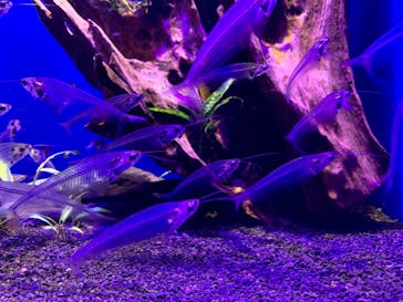 サンシャイン水族館に投稿された画像（2023/1/28）