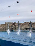 名古屋港水族館に投稿された画像（2023/1/29）