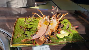 鳥羽　海鮮料理　屋形船　おきたに投稿された画像（2023/1/28）