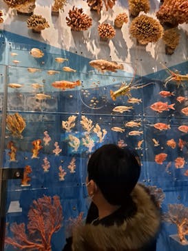 国立科学博物館に投稿された画像（2023/1/28）