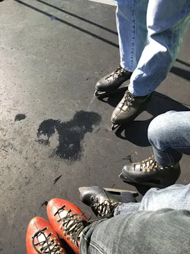 ひらかたパークに投稿された画像（2023/1/29）