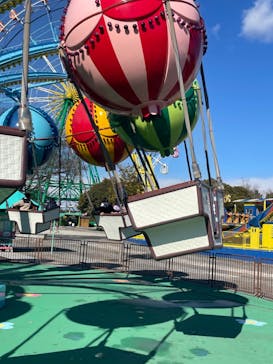 国営ひたち海浜公園プレジャーガーデンに投稿された画像（2023/1/29）